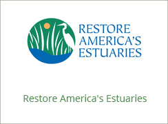 Restore Americas Estuaries